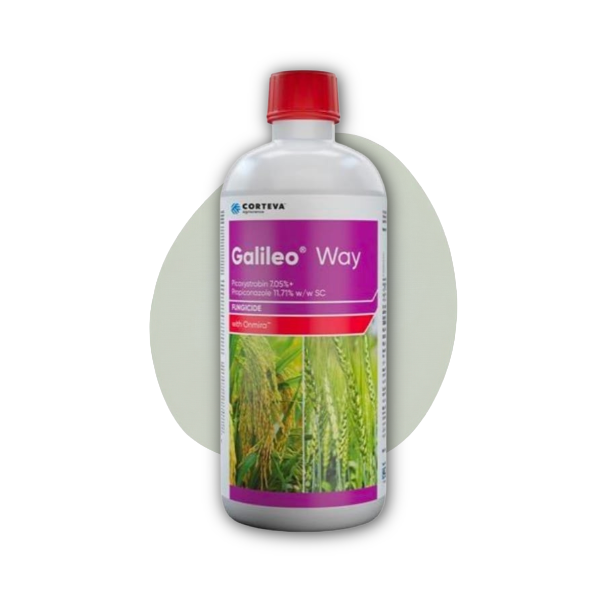 Corteva Galileo Way Fungicide 1 Litre - Picoxystrobin Propiconazole SC - KISAAN24