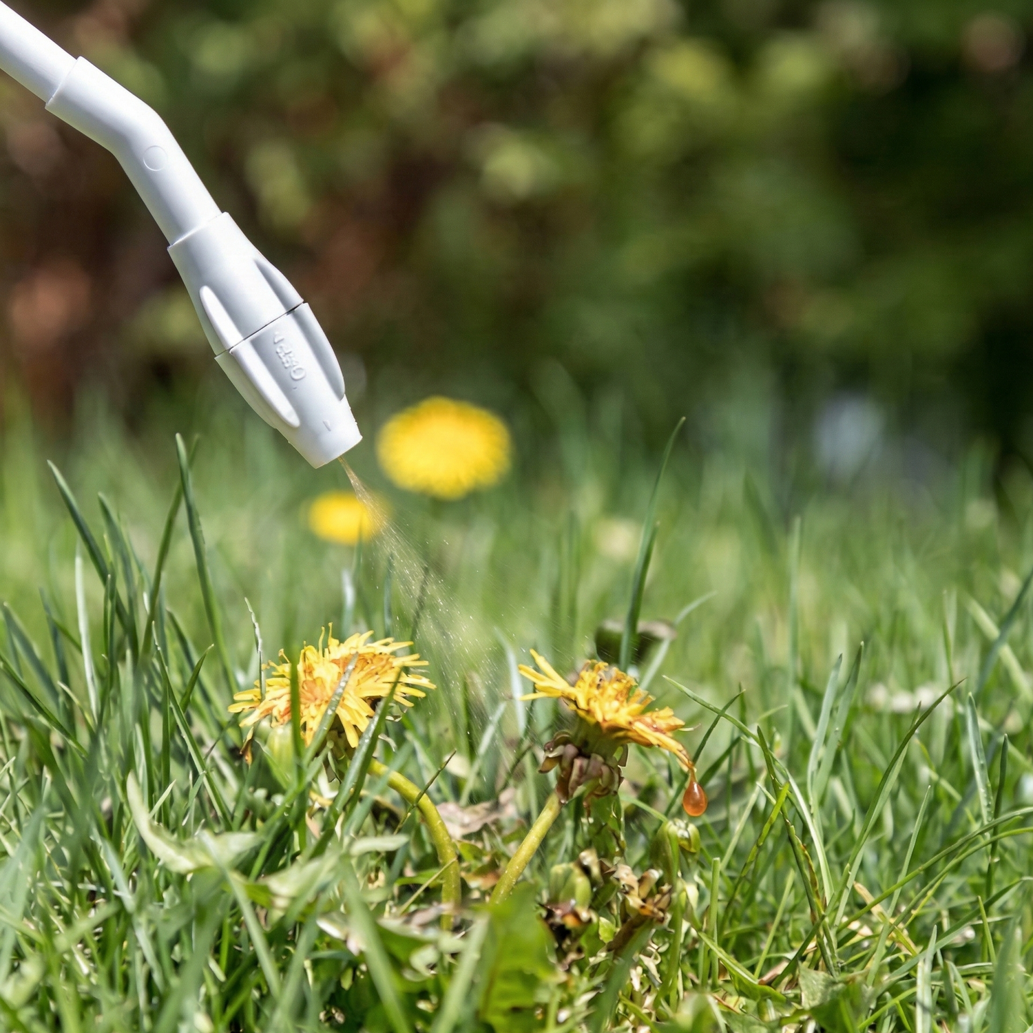 Herbicides