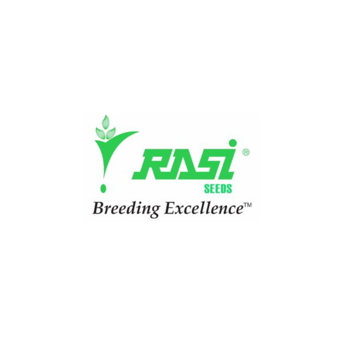 Rasi Seeds