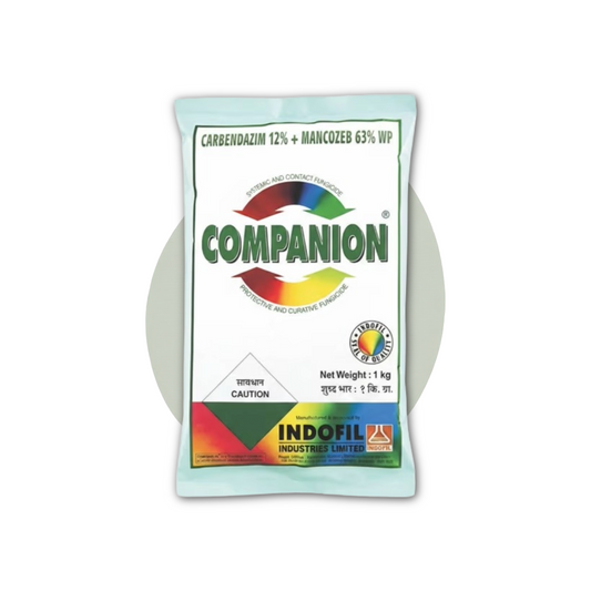 Indofil Companion Carbendazim 12% + Mancozeb 63% WP Fungicide Effective Against Multiple Fungal Diseases